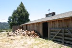 Horse barn and firewood