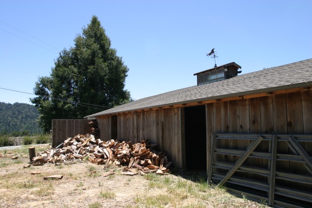 More horse barn