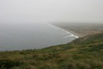 Foggy coastline