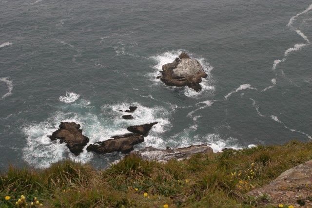 offshore rocks, where birds relax